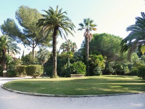 A well-maintained garden with palm trees, a curved pathway, and a grassy lawn.