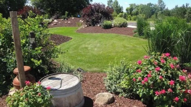 Un jardin bien entretenu, avec une pelouse, un paillis et des plantes à fleurs.