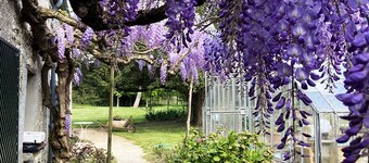 Charming 18th century residence - Circuit la Loire à Vélo entre Blois et Chambord