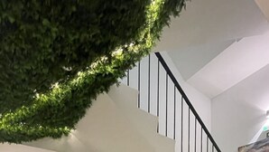 A staircase with black railings and green carpet, leading to an elevator and a door with an emergency exit sign. - MyStay Porto São Bento (Porto)