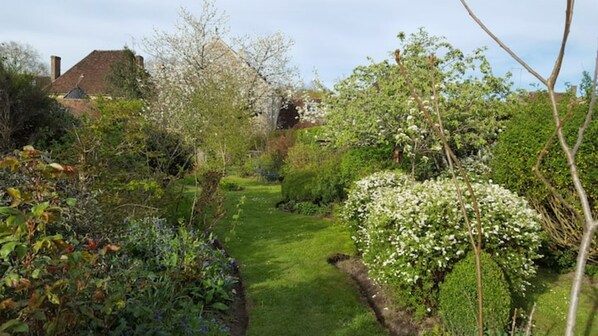 A garden with a variety of plants and a clear path.