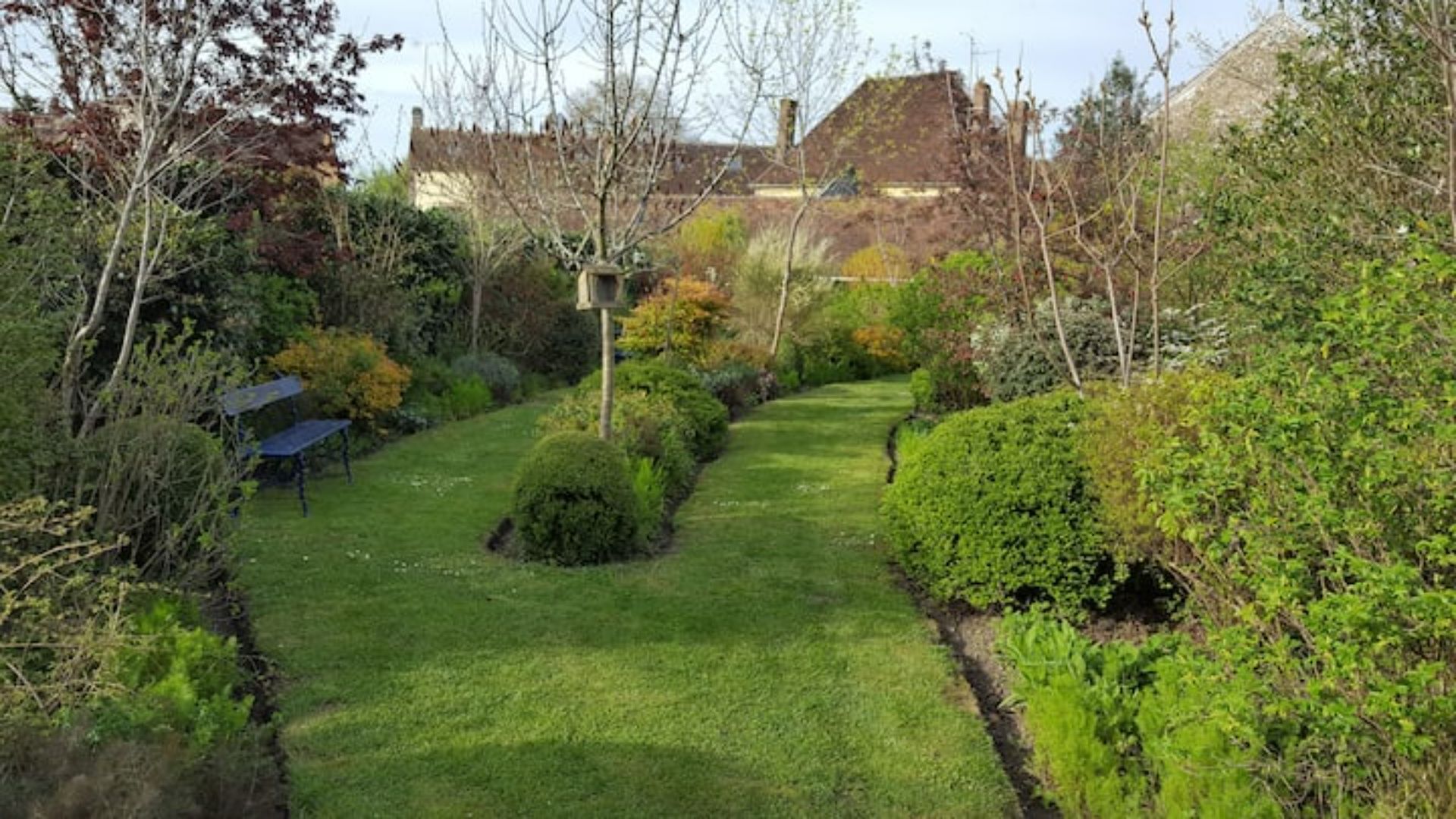 Een verzorgde tuin met gazon, diverse struiken en een bank.
