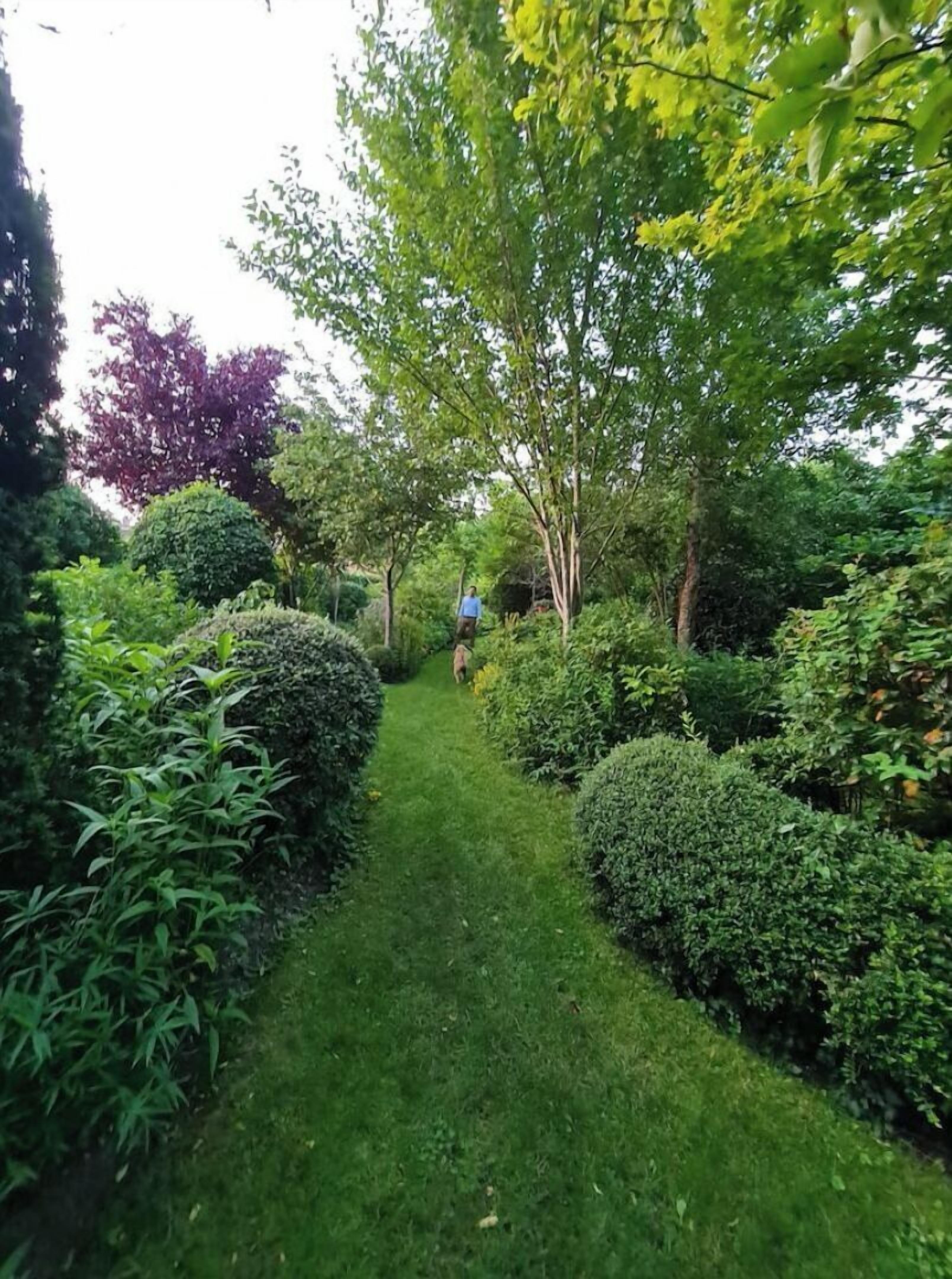 A pathway flanked by neatly trimmed hedges and trees, leading to a person walking away.
