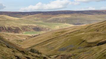 A panoramic view of rolling hills with a valley.