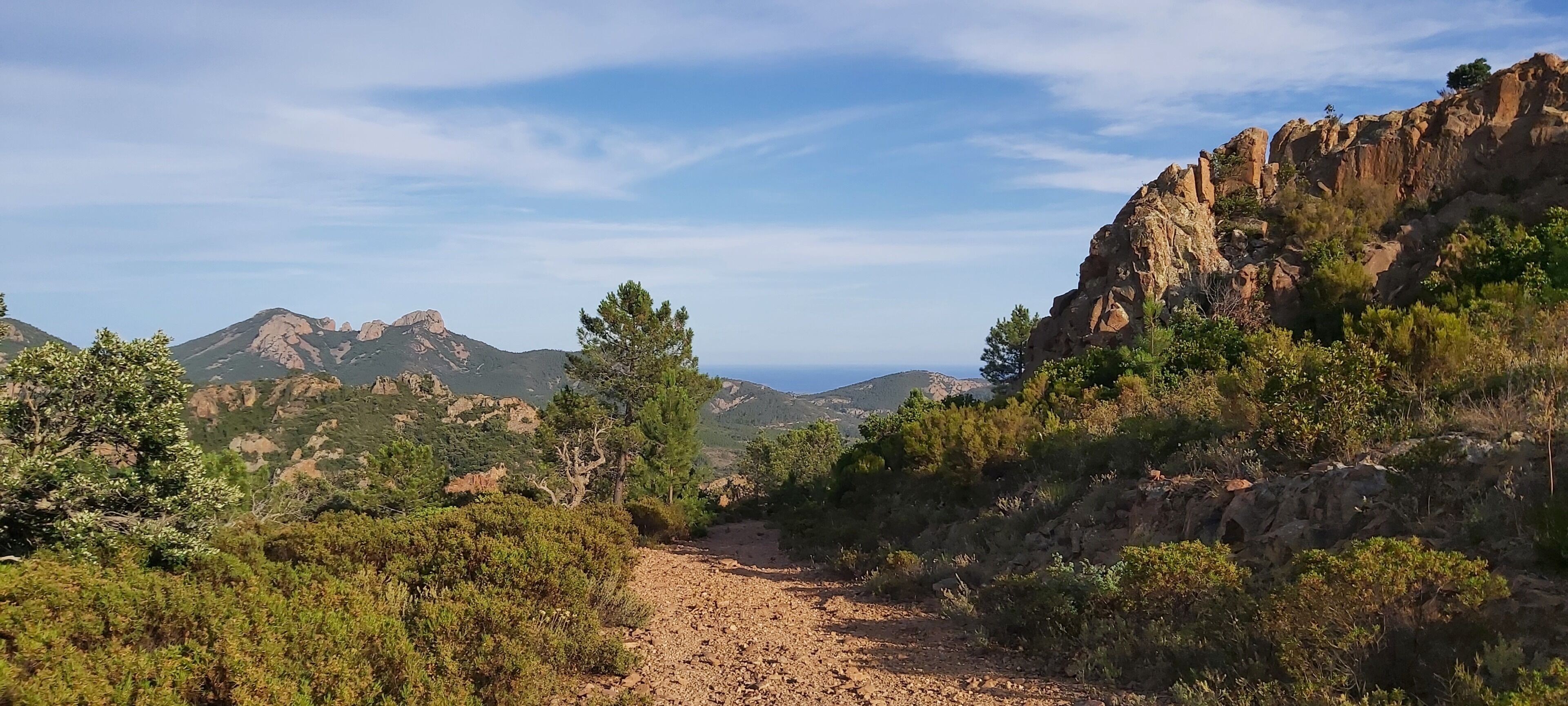 Un paisaje montañoso agreste con un sendero de tierra que atraviesa una vegetación densa y afloramientos rocosos.