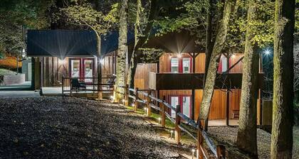 Secluded Cabin on 10 Acres 15 Min from Everything