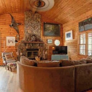 Smart TV, fireplace, books, stereo