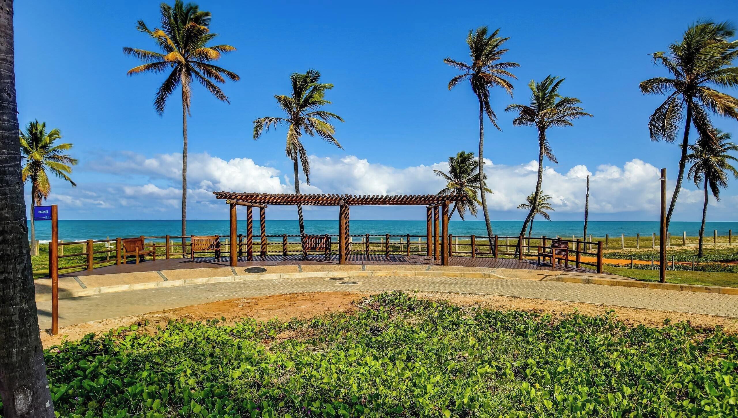A beachside area with a wooden gazebo, palm trees, and a clear view of the ocean.