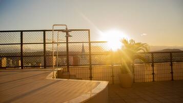 A rooftop terrace with a metal railing, a potted palm tree, and a water feature.