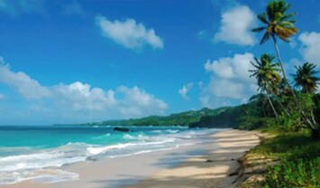 The beach life here in Puerto Plata