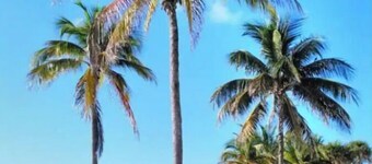 Comfortable 2-Bedroom Apartment Near The Beach