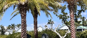 Beautiful Bokeelia!!!! Fishing dream! Bring your boat and your dog