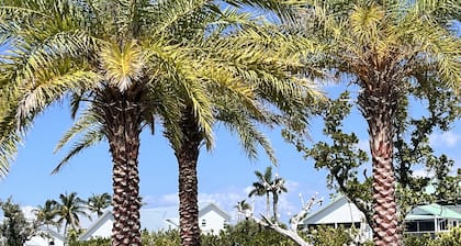 Beautiful Bokeelia!!!! Fishing dream! Bring your boat and your dog