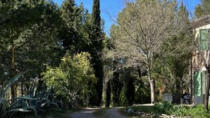 A gravel path leading through a garden with various trees and shrubs. - Gîte 2/4 people with swimming pool and view of the Orb valley (Cessenon sur Orb)