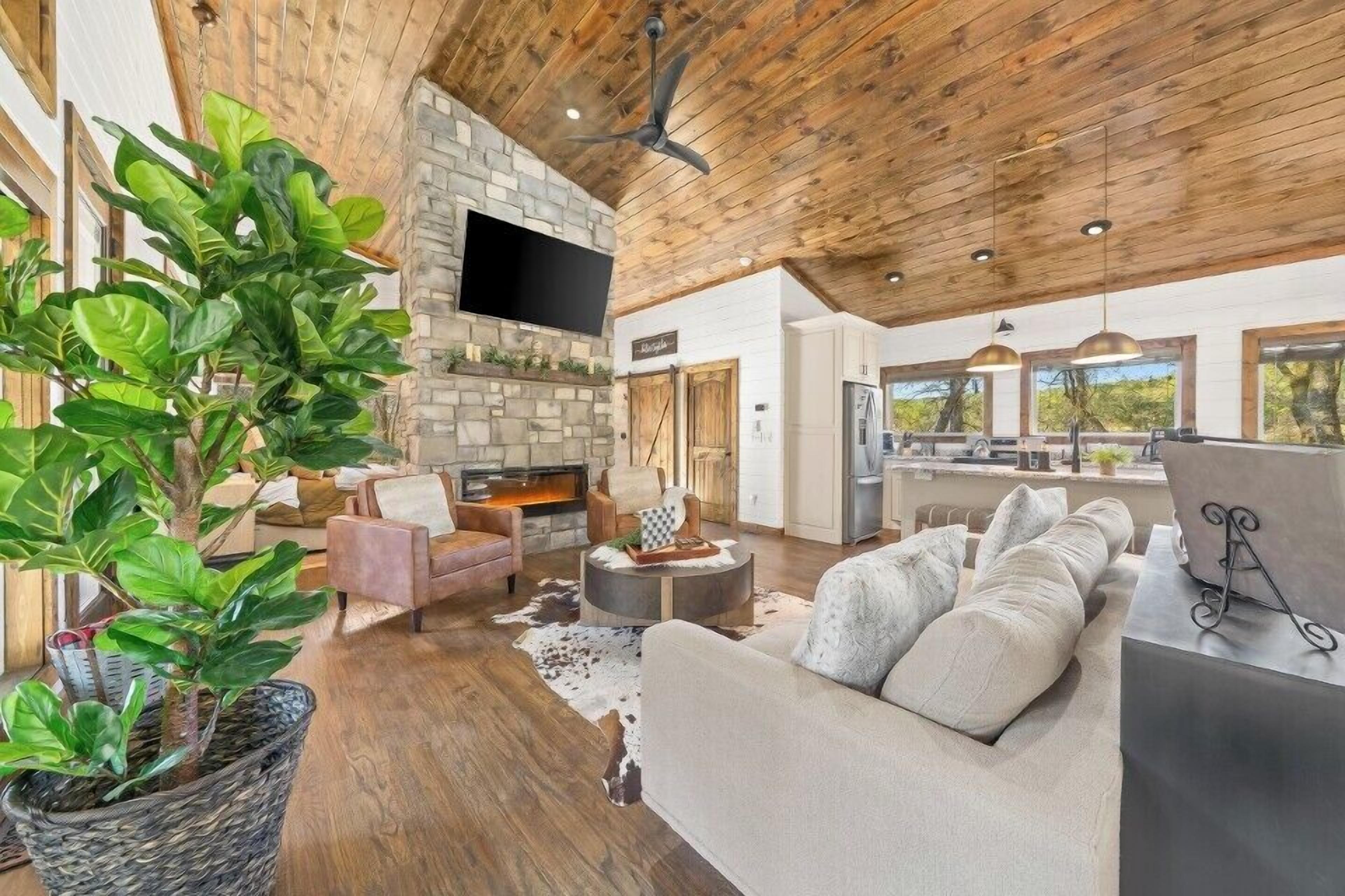 Smart TV, chimenea y libros 
