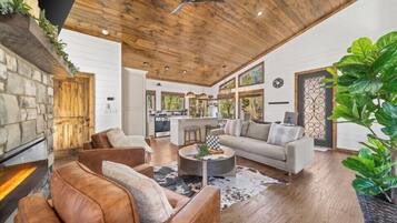 Smart TV, chimenea y libros