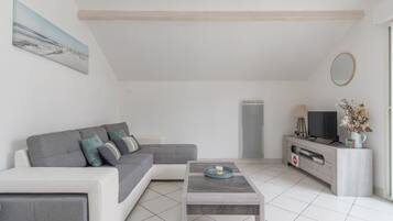 Télévision, lecteur de DVD, livres