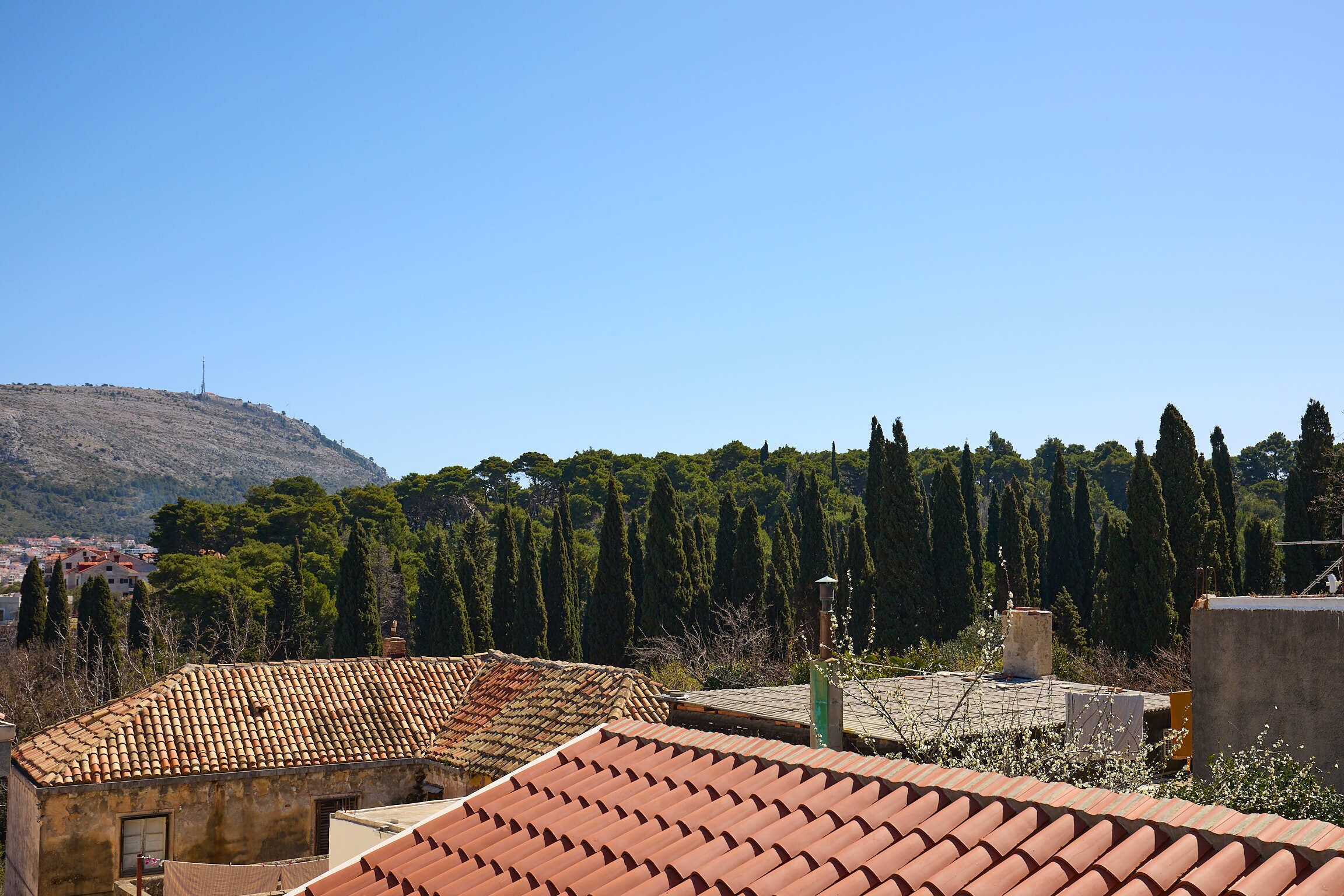 A residential area with terracotta-tiled roofs, a hillside in the background, and a line of tall trees.
