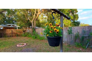 Property grounds - Cheerful and bright house in the heart  of  Tampa (Tampa)