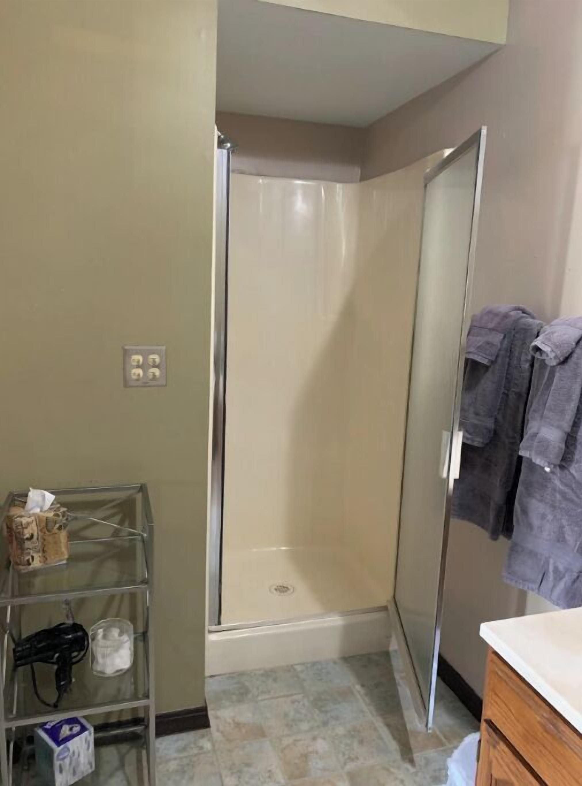 Shower, jetted tub, hair dryer, towels