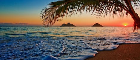 Sun-loungers, beach towels