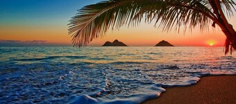 Island Breeze Oasis - Newly Furnished