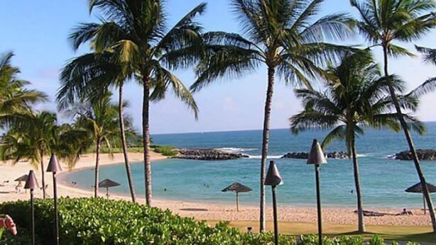 A beach with palm trees, a clear sky, and a calm sea. - Ko'Olina Oasis: Lagoon, Pool & Resort Living (Kapolei)