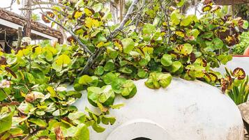 Body treatments, deep-tissue massages, body wraps, facials, massages