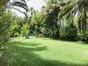 Property grounds - Tropical escape in a private guest cottage - 10 min from the beach! (Jupiter)