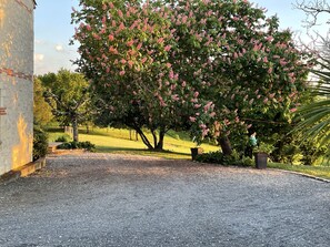 المنطقة المحيطة بالمنشأة