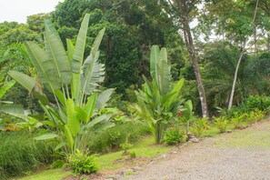 Property grounds - Villa Las Brisas, breezy ocean view with private pool! (San Isidro de El General)