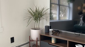 A modern living room with a large flat-screen TV, a potted plant, and a wooden entertainment unit. - Convenient Getaway in the Heart of Hudson Valley (Tillson)