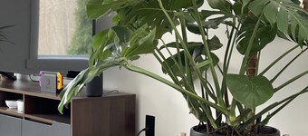 Convenient Getaway in the Heart of Hudson Valley