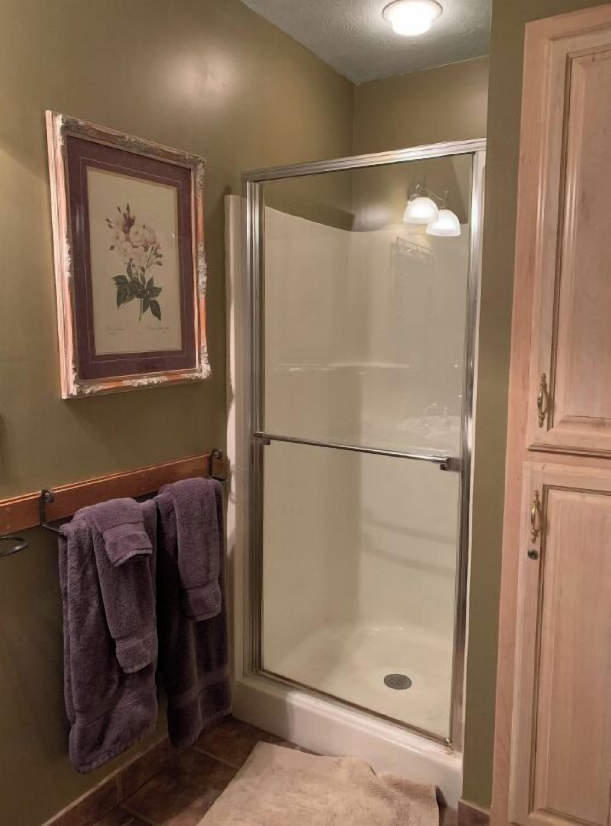Un baño con cabina de ducha de vidrio, un cuadro de flores en la pared y dos toallas colgadas en un perchero.