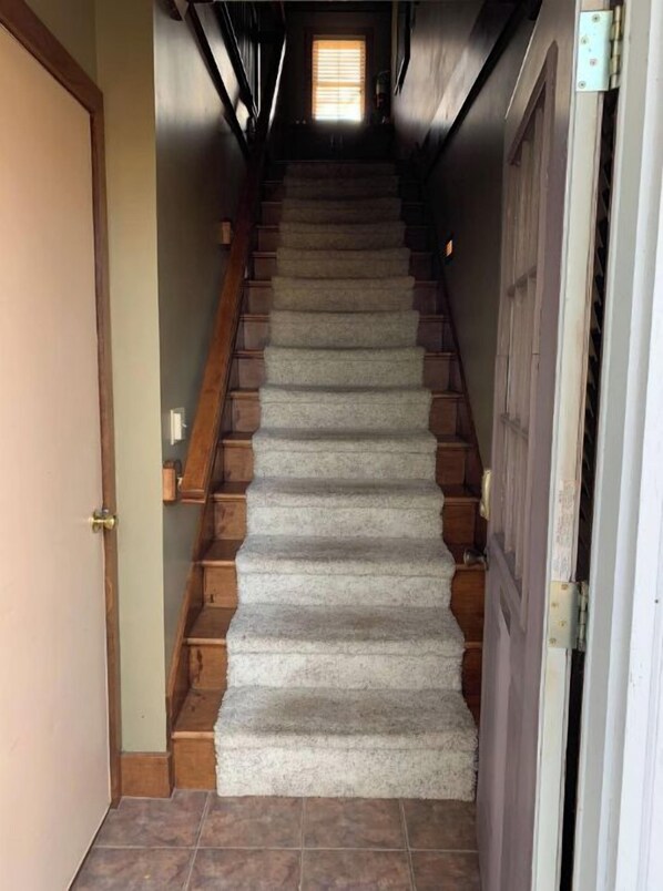 A staircase with carpeted steps leading to a landing.