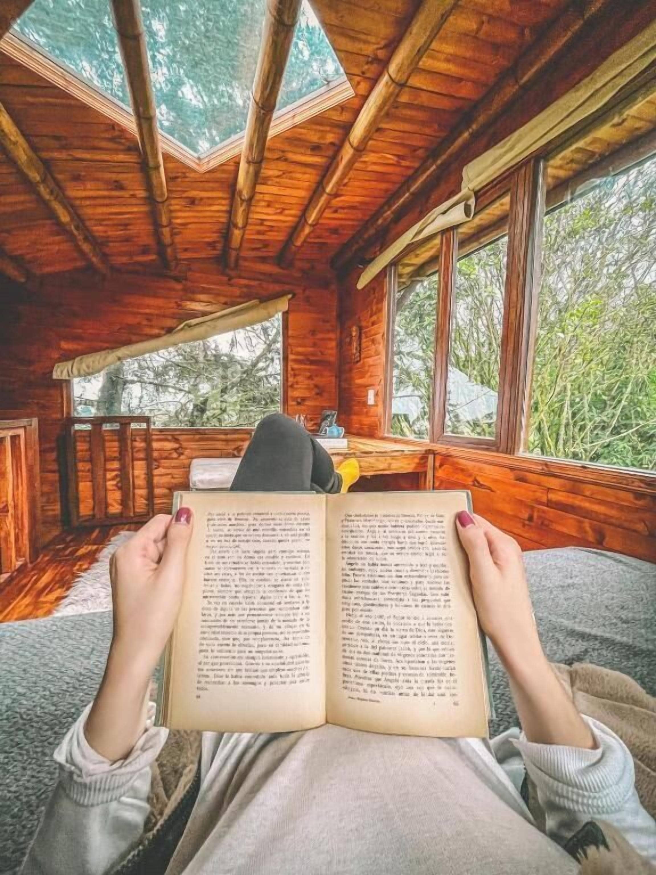 樹屋, 多張床, 山景 | 起居區