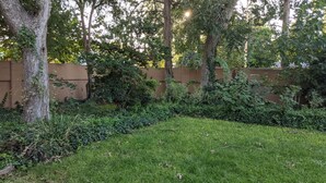 Un'area erbosa con alberi e un muro in mattoni.