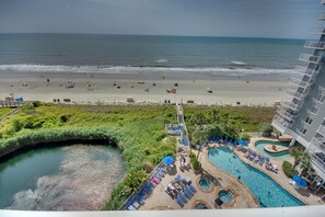 A hotel with a beach view, a swimming pool, and a landscaped area with lounge chairs.