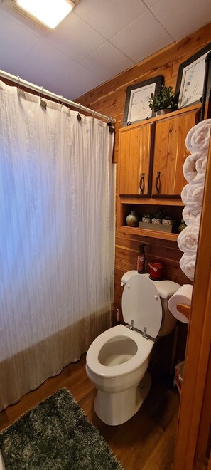 Hair dryer, towels, soap, shampoo