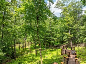 Terrain de l’hébergement 