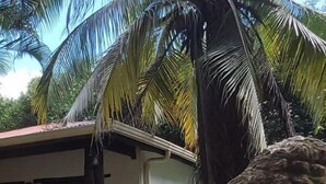 Una casa con un patio, una roca grande al frente y palmeras al fondo.