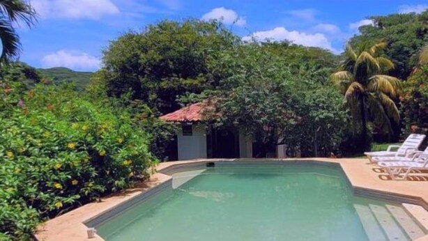Piscina rodeada de vegetación exuberante y sillas de descanso blancas.