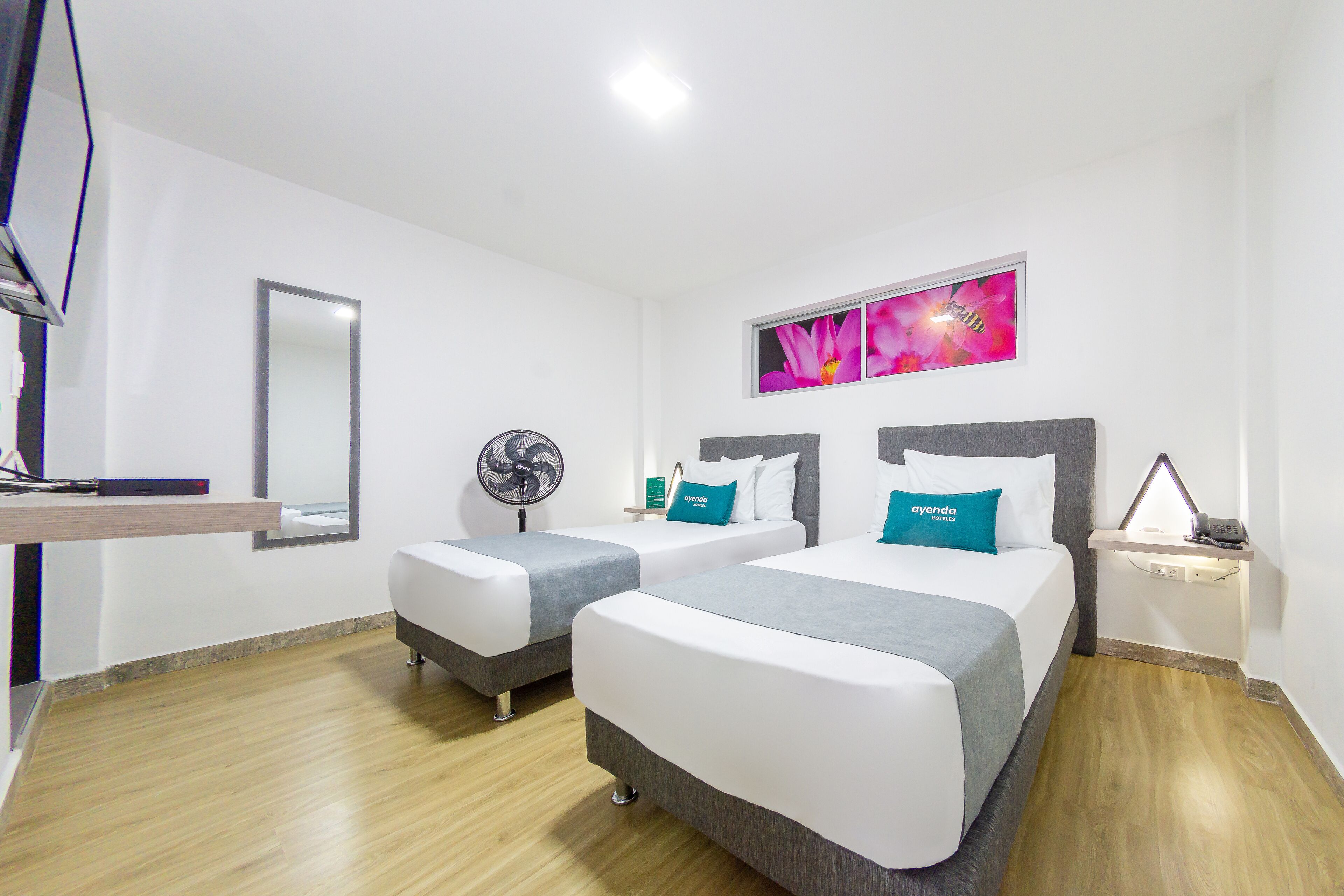 economy twin room | hypo-allergenic bedding, free wifi, bed sheets