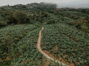 Aerial view - Historical Coffee Farm House (San José)