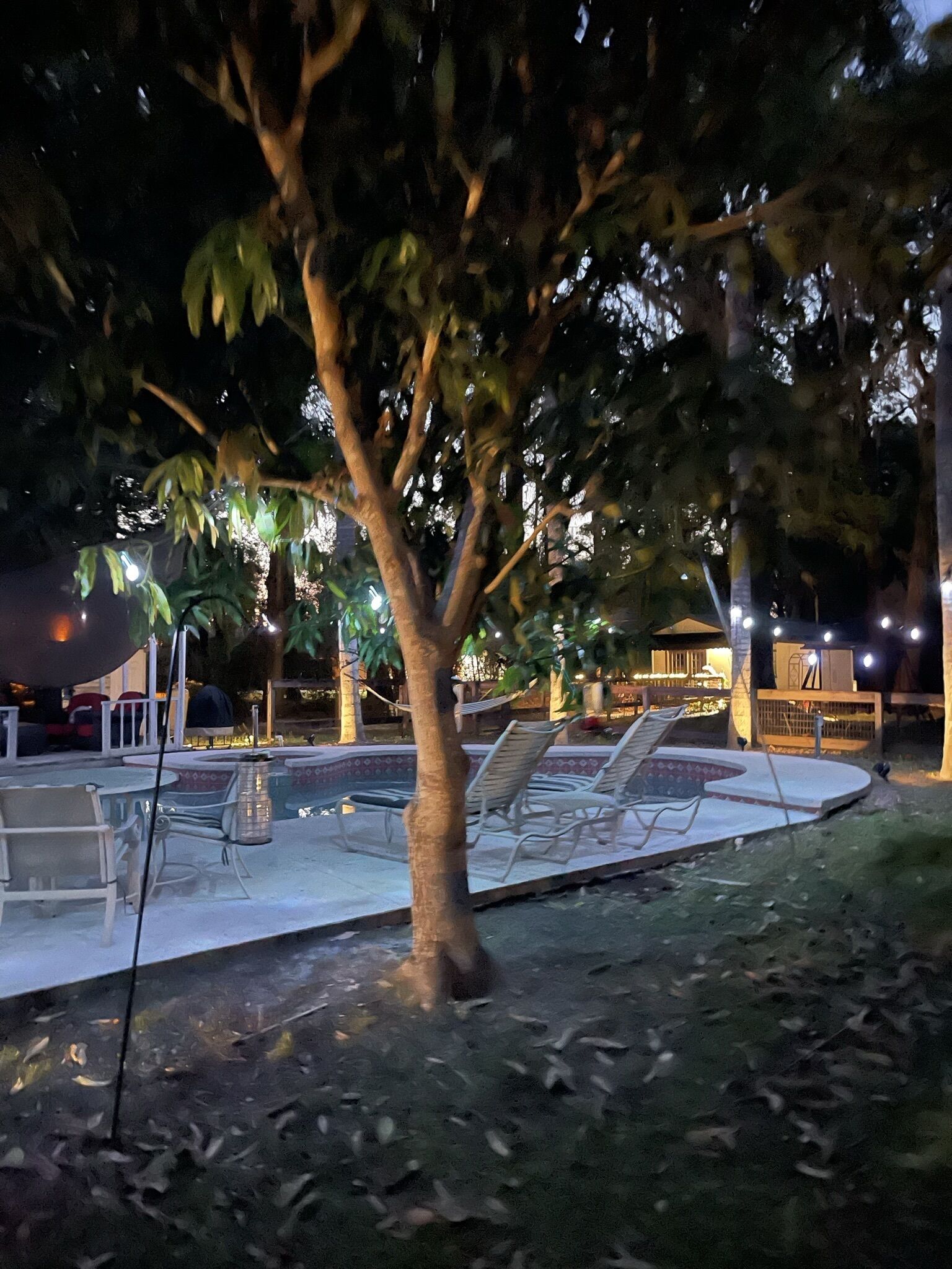 An outdoor pool area with lounge chairs and a tree in the foreground.
