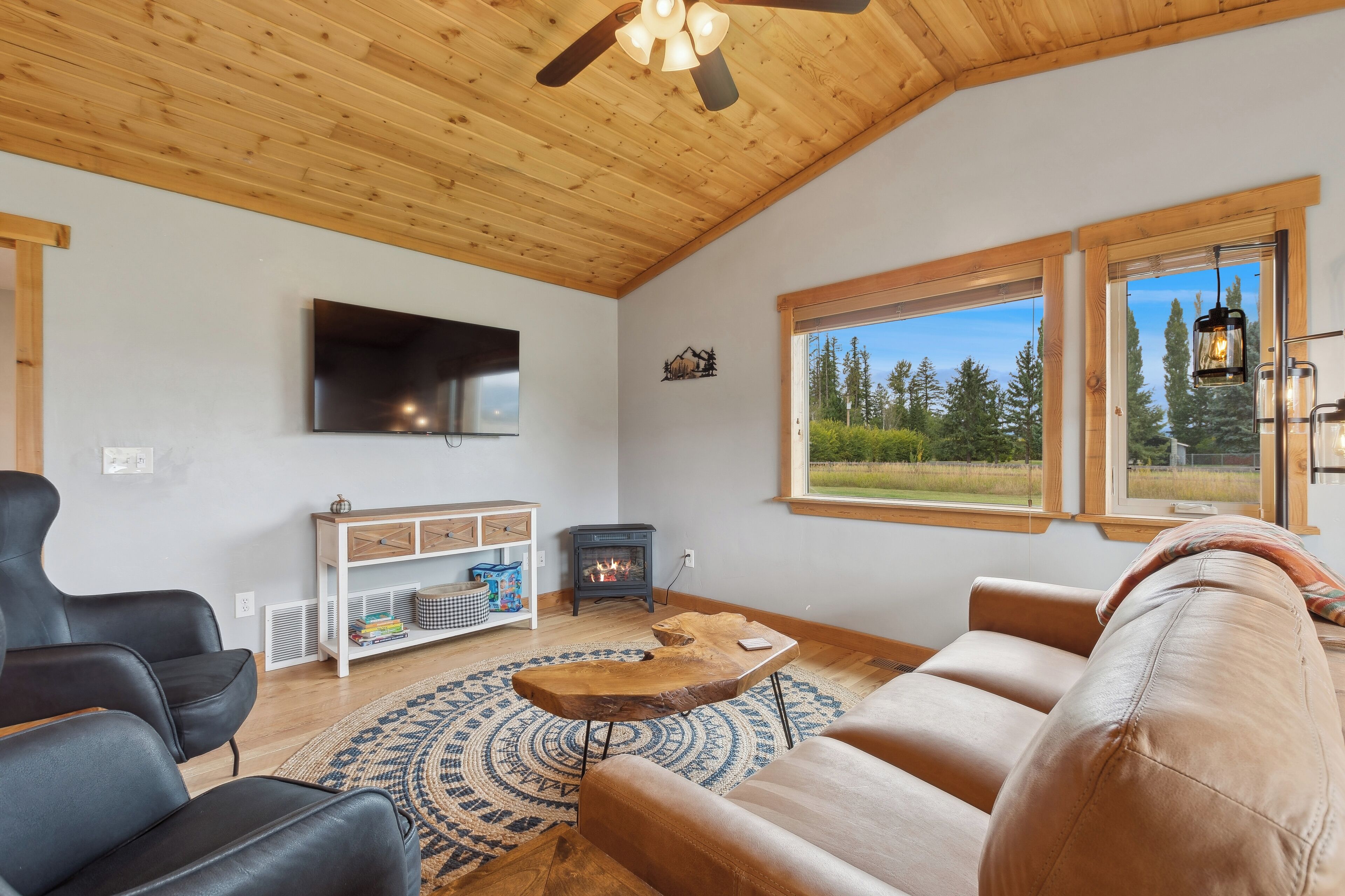 Smart TV, fireplace, table football, books