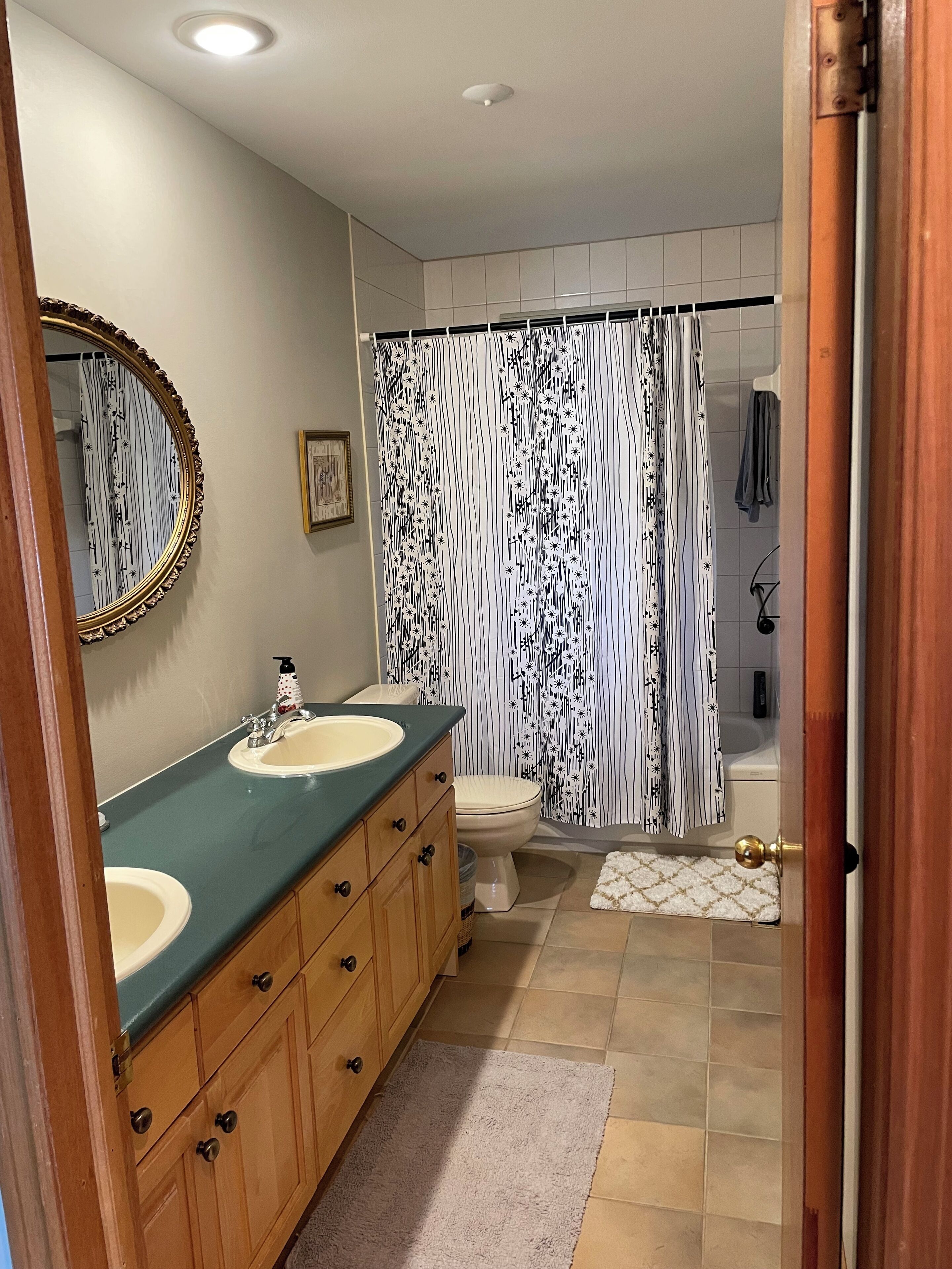 Hair dryer, towels, soap, toilet paper