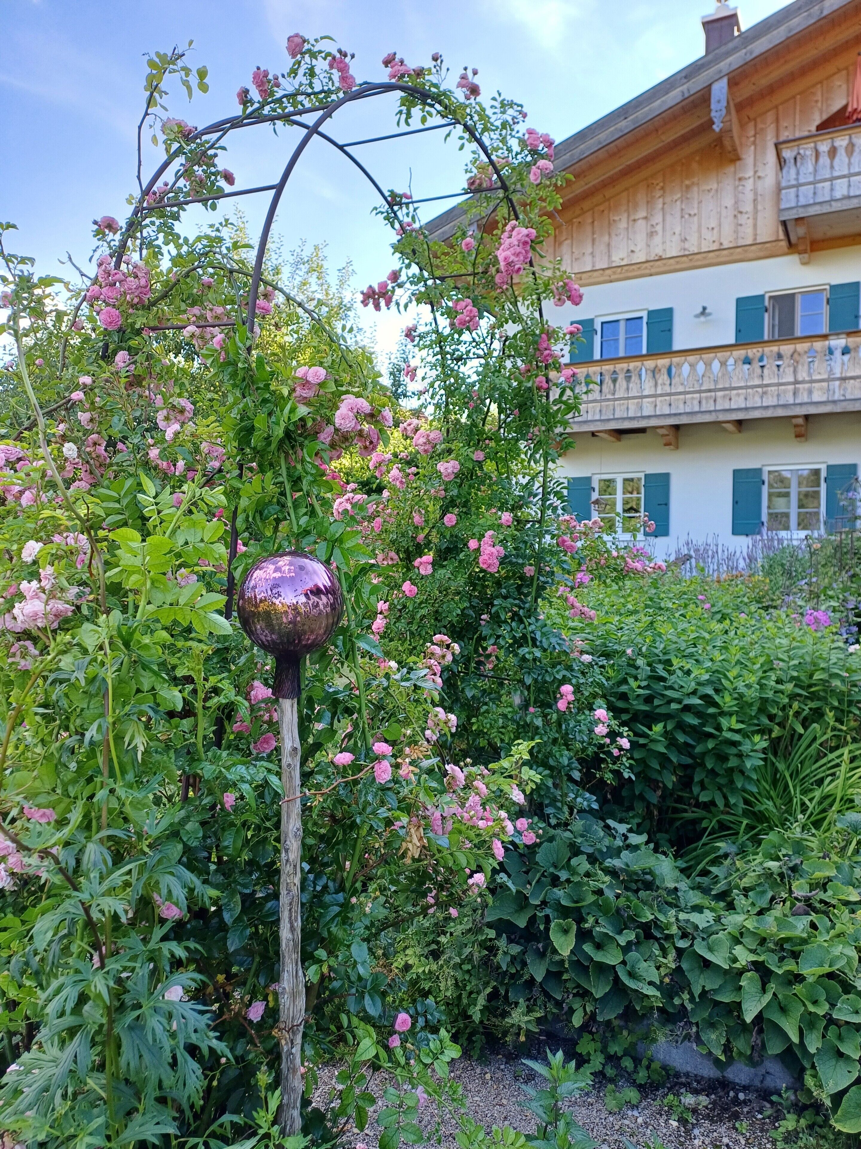 Un jardín con un arco de metal y flores rosadas.