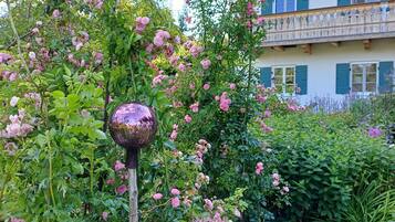 Un jardín con un arco de metal y flores rosadas.