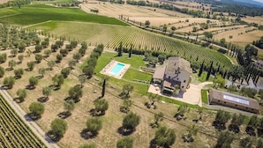 Vista aérea de um vinhedo com fileiras de videiras, uma piscina e um edifício com telhado inclinado.